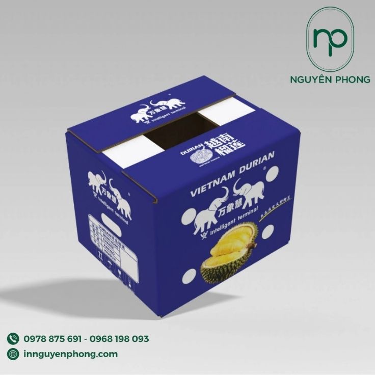 In thùng carton đựng sầu riêng tại TP.HCM độc đáo